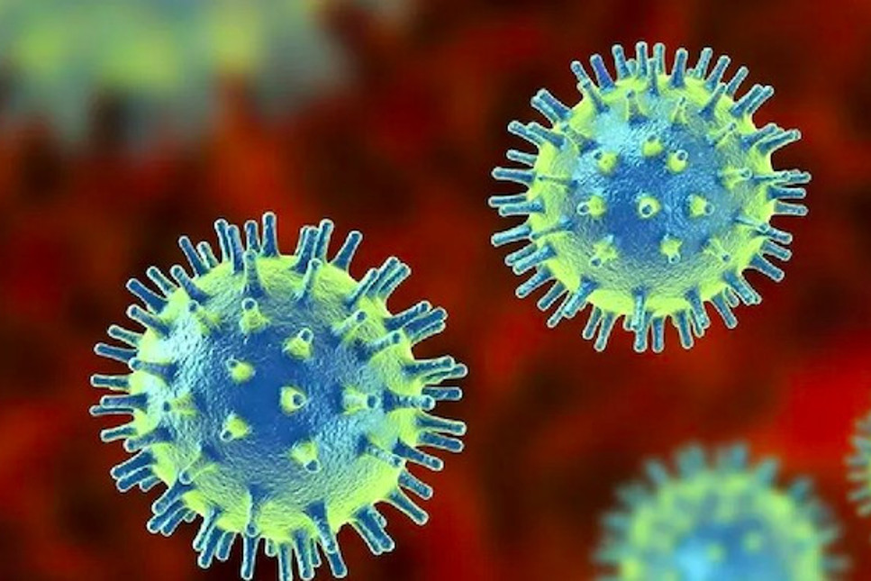 Çin'den öldürücü yeni bir virüs salgını uyarısı: SFTS